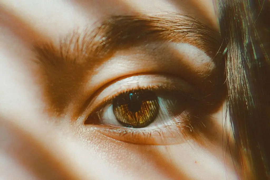 fox eyes